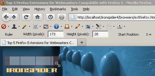 firefox_ext_webdeveloper2 (34K)
